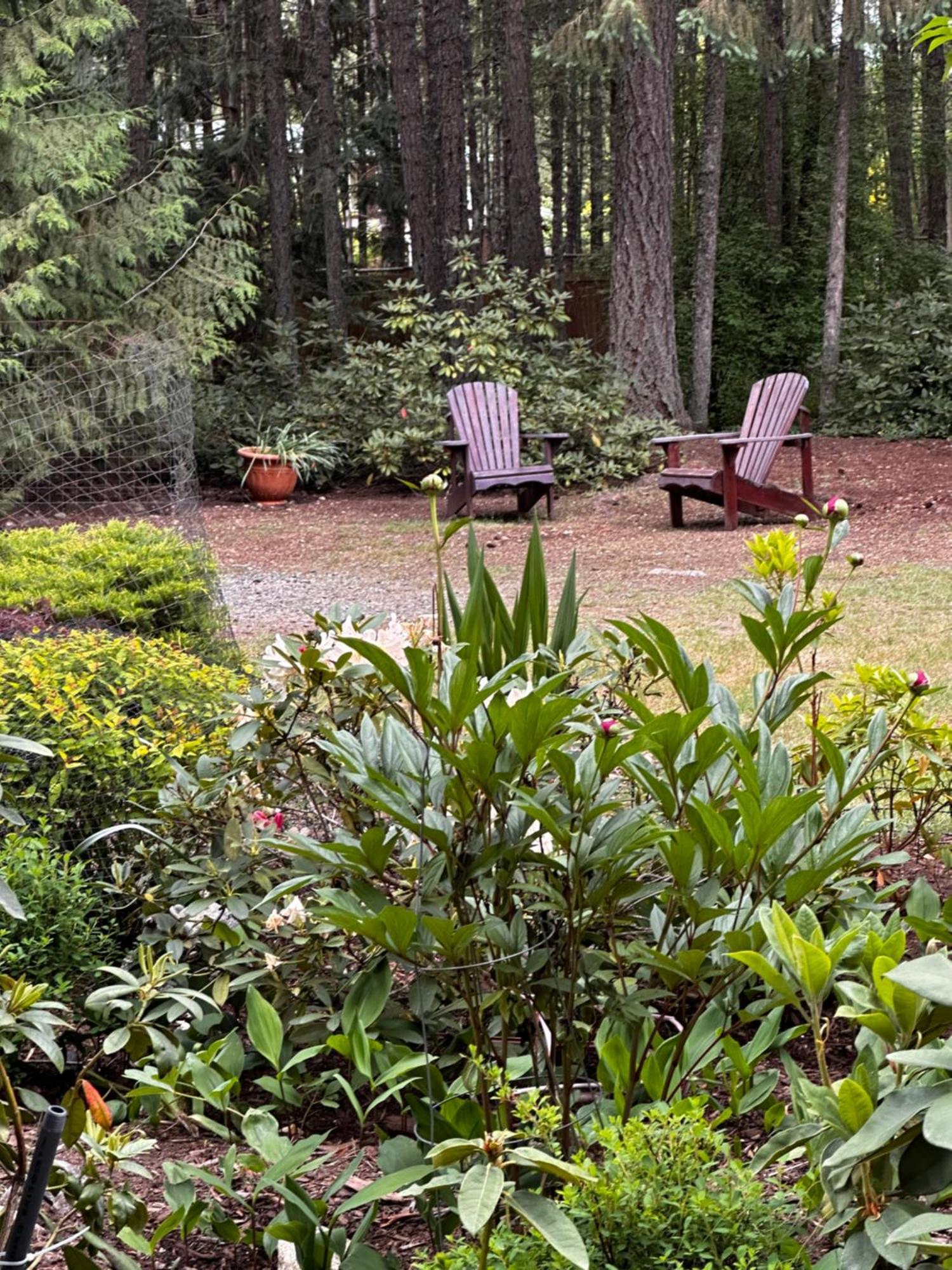 Cedar Song B&B Парксвилл Экстерьер фото