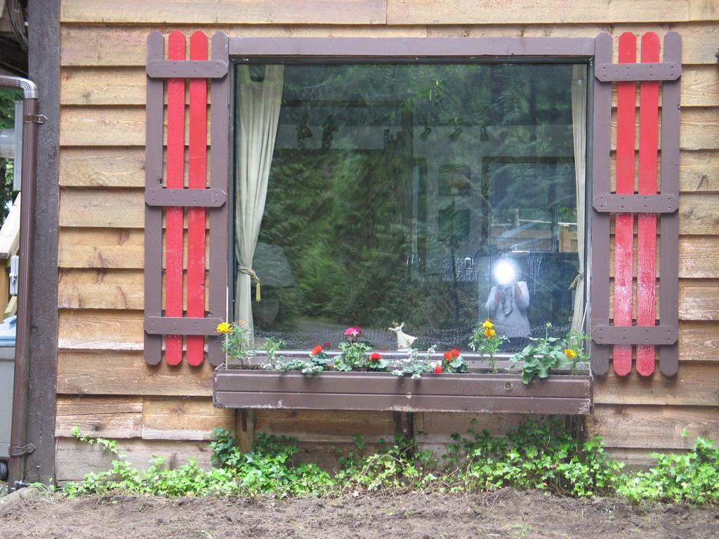 Cedar Song B&B Парксвилл Экстерьер фото